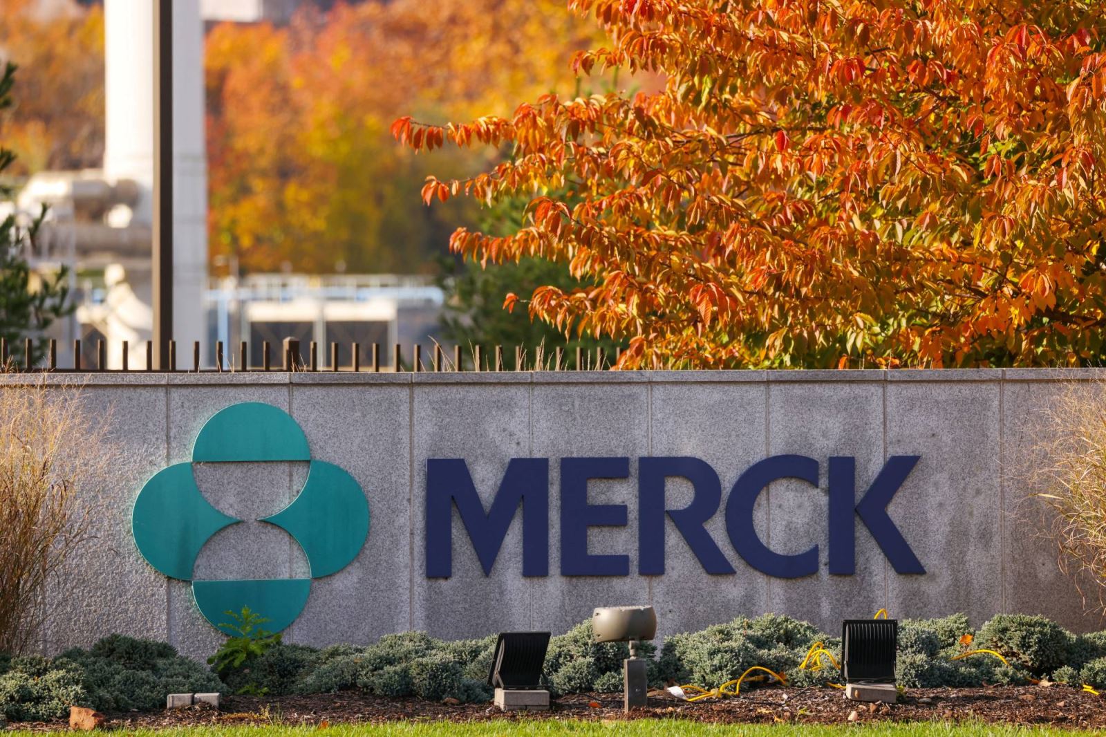 Merck & Co khả quan khi vượt mặt đối thủ Bayer 