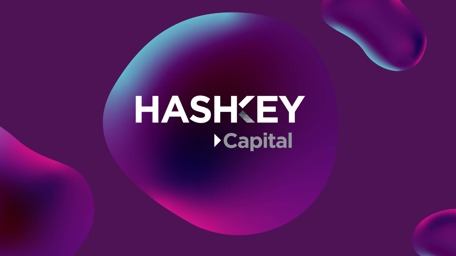 Thông Tin Về Các Đơn Vị Trực Thuộc HasKey Group 1